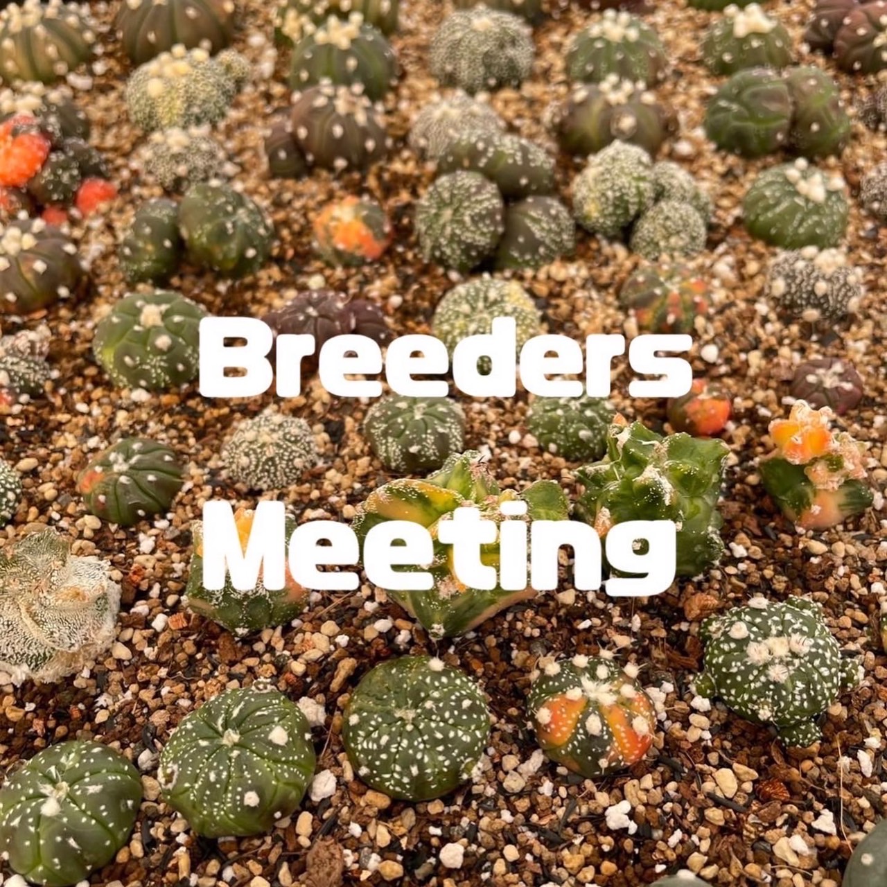 breeders meeting