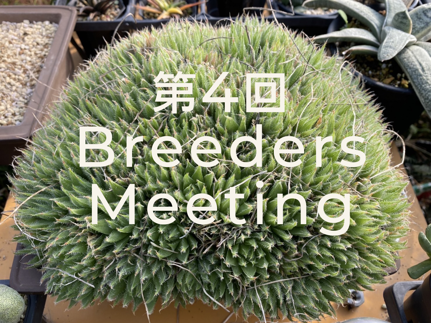 breeders meeting